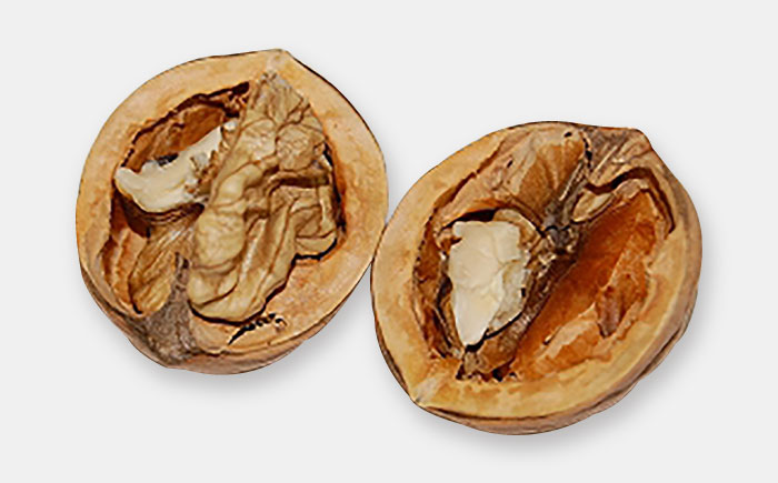 幻の北海道美唄産 くるみ 450g | 殻付き カシグルミ かし胡桃 上村農園 北海道 | アンテナショップPiPaセレクト [BOAK063]