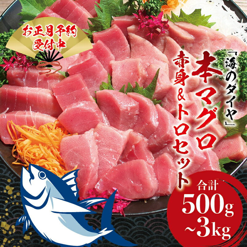 【ふるさと納税】＼もっちり濃厚！！／ 本マグロ（養殖）トロ＆赤身セット 【容量・発送月が選べる】 / まぐろ マグロ 鮪 赤身 冷凍 中トロ 中とろ 海鮮 柵 まぐろ 年末配送 年末発送 年末 年内発送 年内配送 正月 お正月 限定 数量限定 年末年始