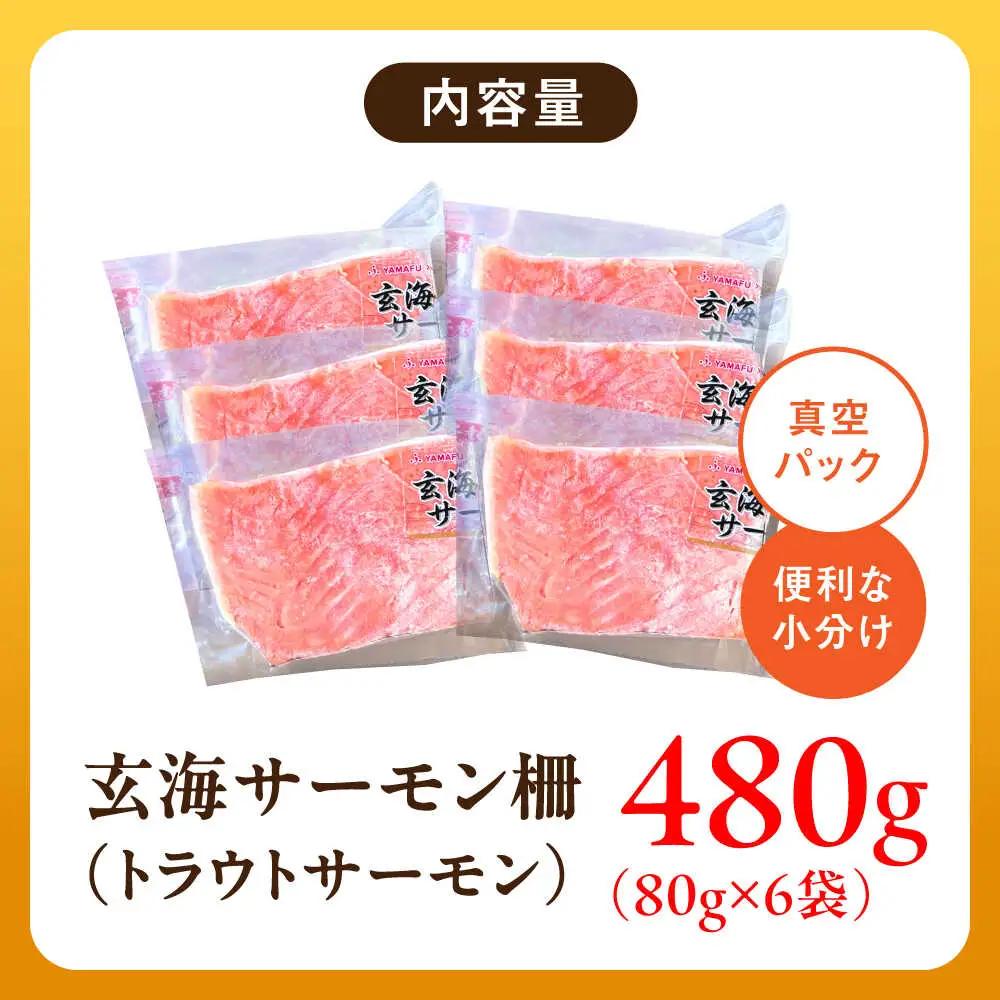 玄海サーモン柵80g×6袋 / 佐賀県 / 株式会社九州特産品販売 [41AECT008]