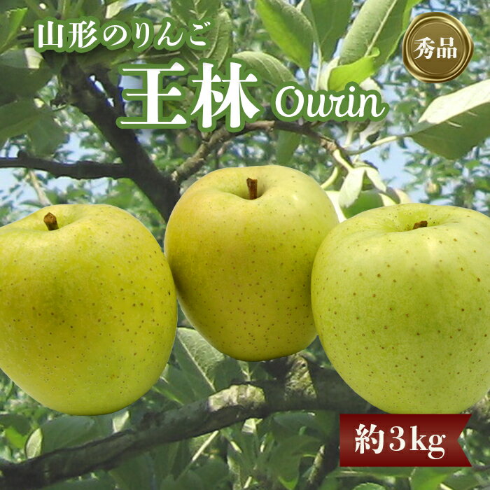 【ふるさと納税】【2025年11月発送分先行受付】「秀品」山形のりんご（王林）約3kg_H168(R7)