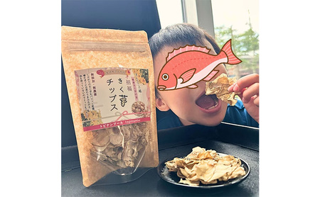 【定期便・全4回】きく芋チップス 3袋セット×4回 　菊いも　きく芋　菊芋　新潟県上越産　芋　いも　イモ 