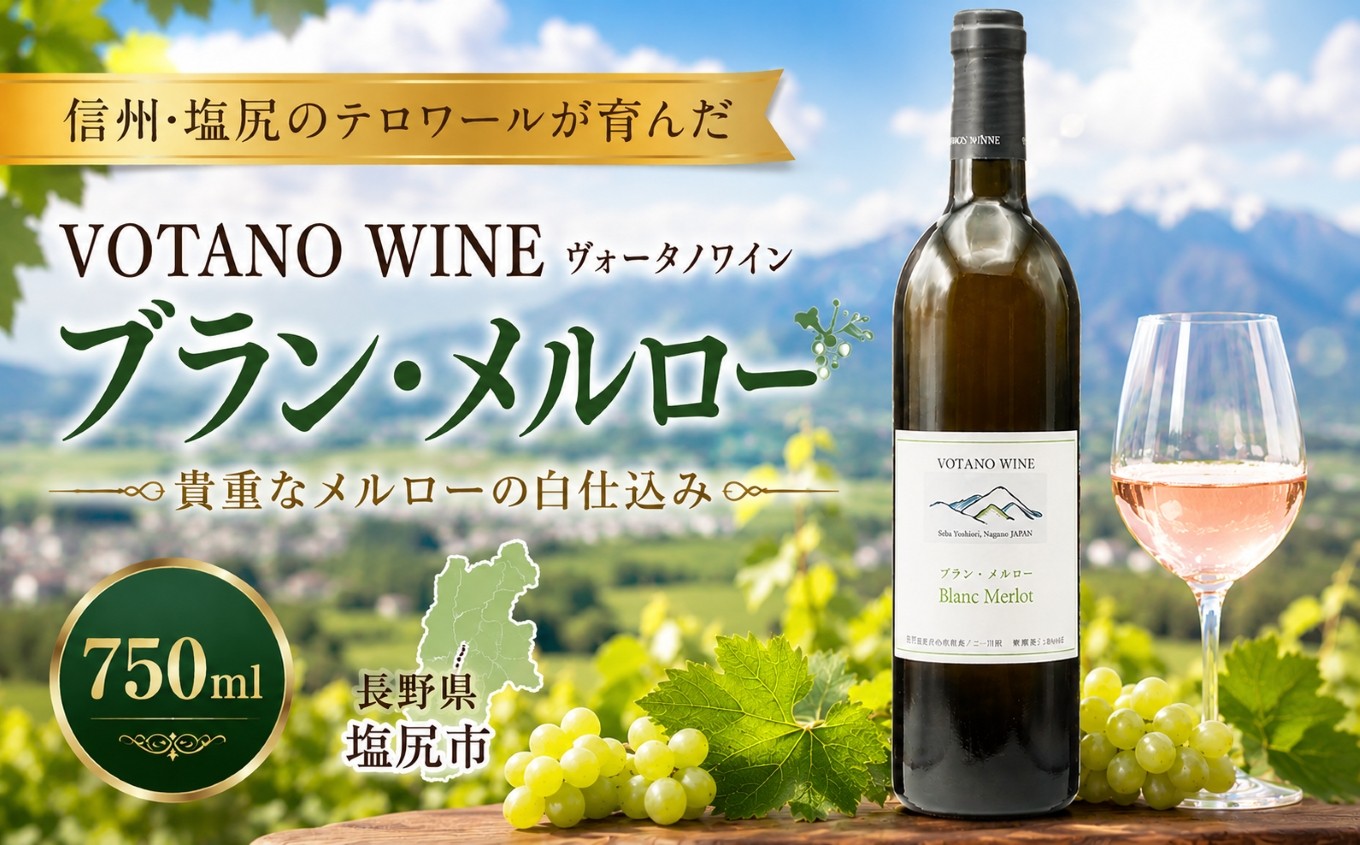 
                  VOTANO WINE ヴォータノワイン  ブラン・メルロー ｜ ワイン 白 白ワイン メルロ メルロー VOTANO WINE 白仕込み ヴォータノワイン ミディアムボディ ぶどう 酒 お酒 アルコール 長野県 塩尻市
                