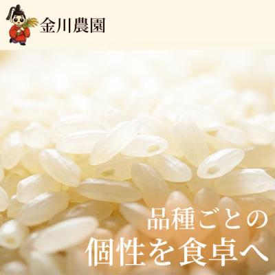 ふるさと納税 三原市 つきあかり 10kg 精米 [238-014] |  | 01