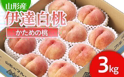 山形市産 桃「伊達白桃」 秀以上 3kg(8玉～11玉)[かための桃] 【令和7年産先行予約】FU21-059 くだもの 果物 フルーツ 山形 山形県 山形市 2025年産