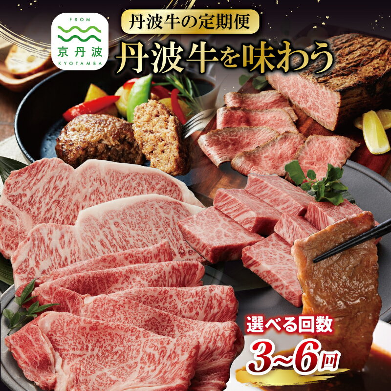 【ふるさと納税】【定期便】丹波牛を味わう定期便 3回 4回 5回 6回 選べる 回数 選べる定期便 ( 定期便 和牛 黒毛和牛 京都 丹波 丹波牛 牛肉 すき焼き 焼肉 ステーキ ローストビーフ 霜ふり 赤身 赤身肉 )