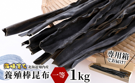 1等級 乾燥昆布 1kg 【上磯郡漁業協同組合】 知内 出汁 だし 北海道 コンブ こんぶ