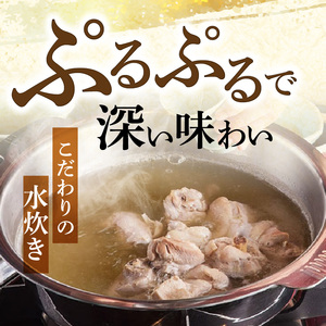 博多水たき濵田屋　水炊きセット2～3人前 博多 水炊き 2人前 〜 3人前 鍋 セット 鶏ガラ 香味野菜 出汁 スープ 赤鶏 みつせ鶏 低脂肪 ヘルシー 鶏 ぶつ切り ミンチ 旨み 風味 豊か まろや