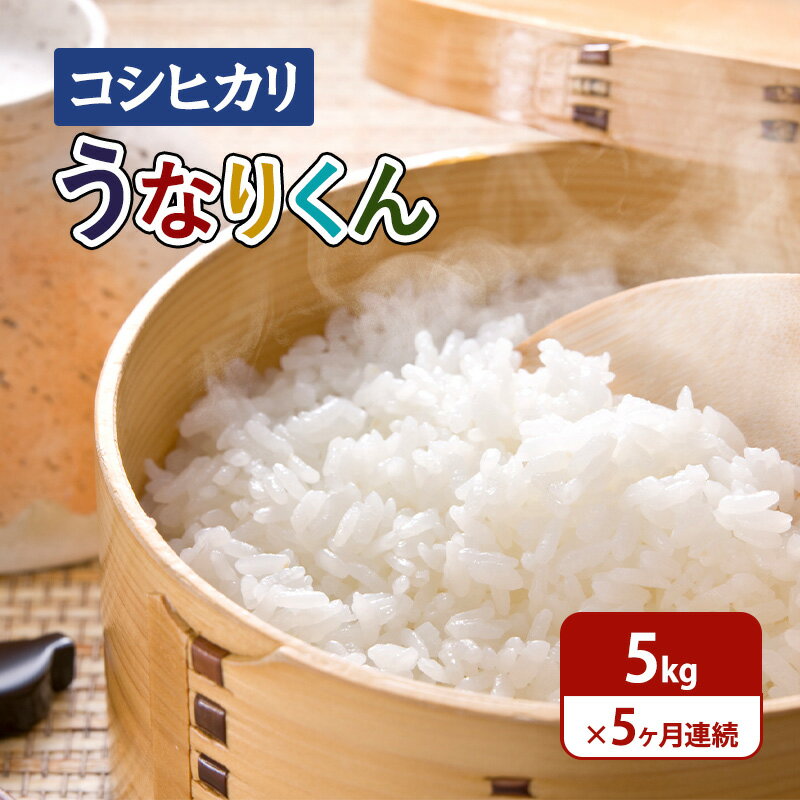【ふるさと納税】米 【令和7年度産】5ヶ月連続お届け「コシヒカリ」うなりくん5kg こしひかり コシヒカリ セット お米 精米 白米 定期便 成田市 千葉県