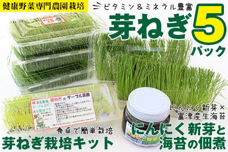 【農薬未使用・無添加】芽ねぎセット（5パック＆栽培キット＆にんにく新芽と海苔の佃煮）【ふるなびWEEK対象】FN-Limited-WE