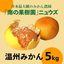 【ふるさと納税】温州みかん（生果）5kg　※2024年11月上旬～12月下旬頃に順次発送予定