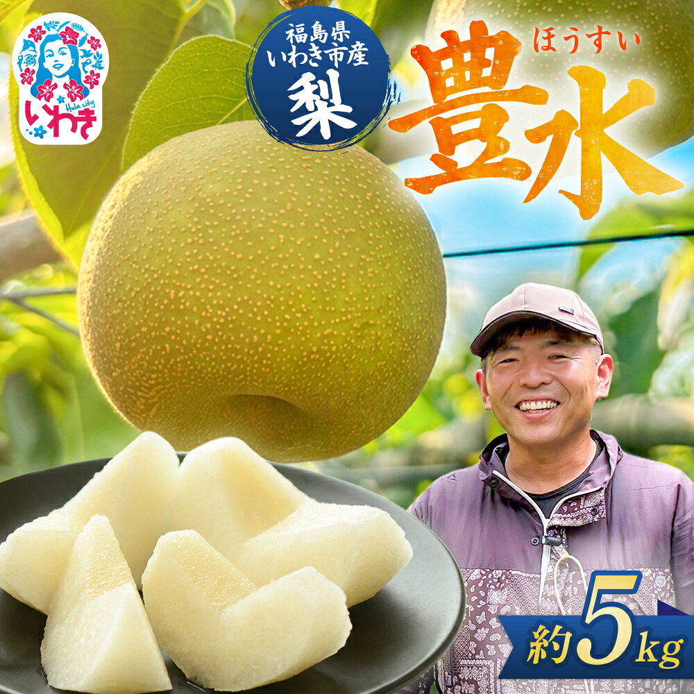 【ふるさと納税】【先行予約】福島県いわき市産 梨(豊水) 約5kg | 梨 豊水 いわき市産 長谷川梨園 約5kg 先行予約 期間限定 果物 フルーツ 和梨 国産 新鮮 産地直送 甘い 濃厚果汁 ジューシー 瑞々しい シャキシャキ 数量限定 送料無料 フレッシュ 季節限定 | HN002
