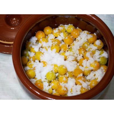 ふるさと納税 かつらぎ町 【梅干・梅酒用】紀州和歌山熟南高梅 大玉4Lサイズ 約2kg赤秀品【6月上旬〜7月上旬発送予定】 |  | 02