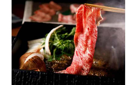 熊本和牛 あか牛 赤身 切り落とし 約1kg （約500kg×2） 肉 にく ミート 牛肉 ビーフ 切落し 赤身切落し 赤身肉 惣菜 おかず 料理 冷凍