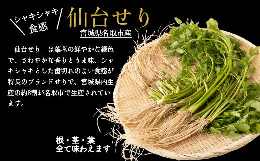 【2025年先行予約】【お届け日時指定必須】名取名産 美味なる根っこを食す「せり鍋セット」4、5人前(漁亭 浜や) 根・茎・葉をすべて楽しむ