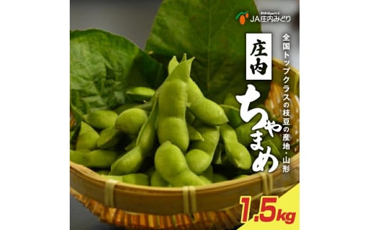 庄内ちゃまめ　計1.5kg(250g×6袋)　SA2922
