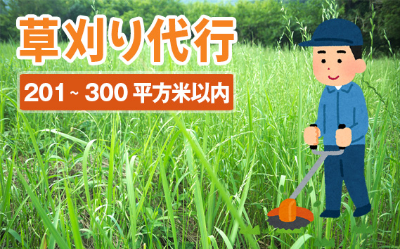 
                  草刈り代行サービス（201～300平方メートル以内） ／ 空地 除草作業 お手入れ 坂東市内 茨城県 No.758
                