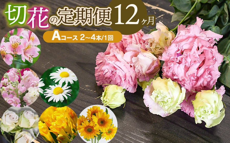 
            鶴岡産切花の定期便12ヶ月Aコース　花蔵（HANAZO）　K-722
          