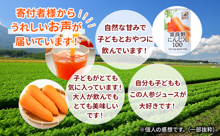 にんじんジュース 北海道 富良野にんじん100 60缶 セット ふらの農業協同組合 ふらの産 にんじん ジュース 野菜ジュース キャロットジュース 富良野人参ジュース 野菜 飲料 缶 ケース買い 箱 