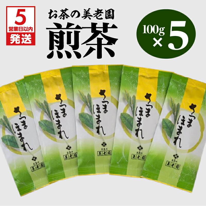 【ふるさと納税】お茶の美老園 煎茶 計500g さつまほまれ お茶 茶 緑茶 茶葉 日本茶 お茶会 茶話会 和 ティー ティータイム ドリンク おもてなし 爽やか 国産 鹿児島県産 食品 飲料 薩摩 鹿児島市 送料無料