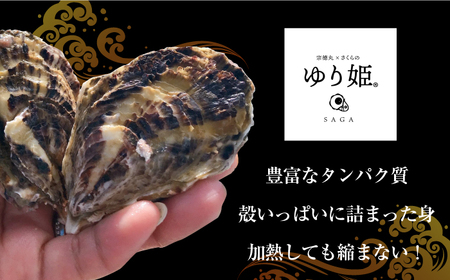 【10月1日金額改定予定！】【先行予約】【海の香りをご自宅で】竹崎産 ブランド生牡蠣「ゆり姫」5kg（ナイフ付き）/ ブランド牡蠣 牡蠣 カキ かき 牡蠣焼き 海鮮 / 佐賀県 / 宗徳丸 [41AT