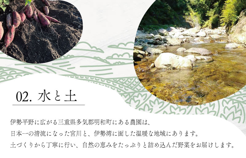 宮殿の厨房野菜 おまかせ定期便 （3回） 六月農園 野菜 セット 産地直送 おまかせ 5品 季節の野菜 旬 詰め合わせ 人気 限定 有機栽培 オーガニック 明和町 国産 リピート 定期便