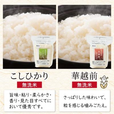ふるさと納税 坂井市 【令和7年産】無洗米いちほまれ・こしひかり・華越前各2kgセット[B-6113] |  | 02