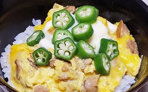 ☆土佐はちきん地鶏ゆず塩仕立て　後味さっぱりのどんぶり はいかがでしょうか？
