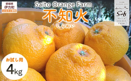 【先行予約】【お試し！】Saito Orange Farmの不知火4kg（2026年2月下旬頃より順次発送） 【 ふるさと納税 人気 おすすめ ランキング みかん ミカン 蜜柑 柑橘 不知火 しらぬい フルーツ 果物 産地直送 お試し 西宇和 Saito Orange Farm 愛媛県産 愛媛県 伊方町 送料無料 】 IKTAQ014