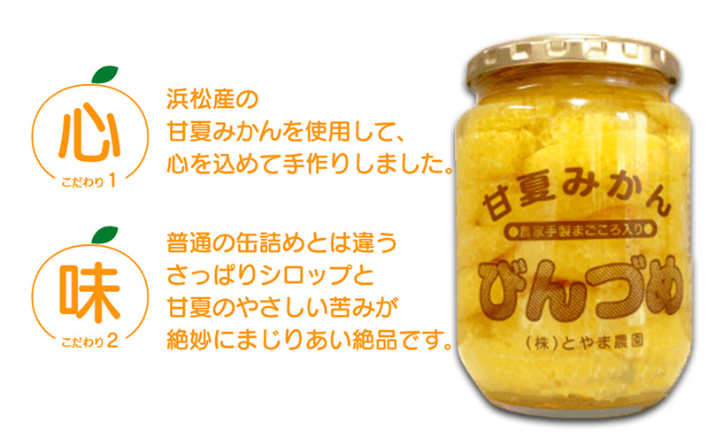 甘夏みかんびん詰め 小瓶2本セット（500g×2本セット）静岡 