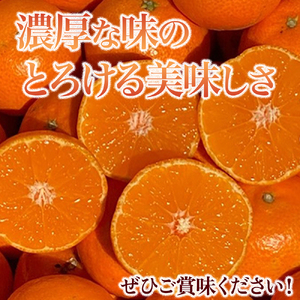 山本農園のクレメンティン ３kg クレメンティン みかん 柑橘 国産 オレンジ マンダリン 希少 ジューシー くだもの 果物 フルーツ 新鮮 贈り物 ギフト 佐賀県 太良町 L41