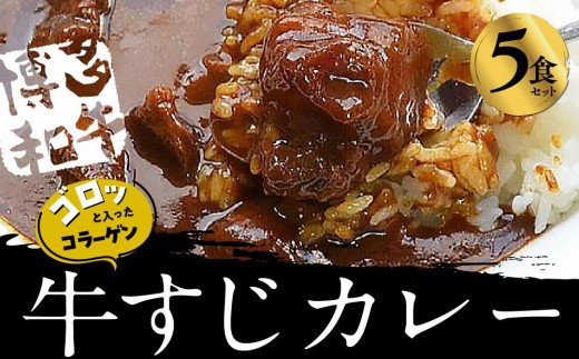 ゴロッ!と入ったコラーゲン博多和牛すじカレー5食セット(大任町)