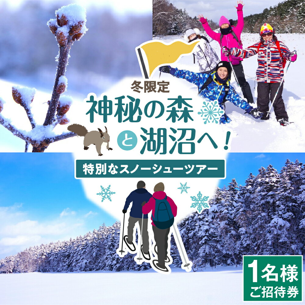 【ふるさと納税】スノーシューツアー 1名様 ご招待券 (中学生以上対象) / 体験 招待券 チケット 旅行 トラベル 家族 ファミリー 大人 子供 中学生 友達 カップル ネイチャー アウトドア ガイド スノーシュー ウィンタースポーツ 冬 1月 2月 3月 北海道 豊富町