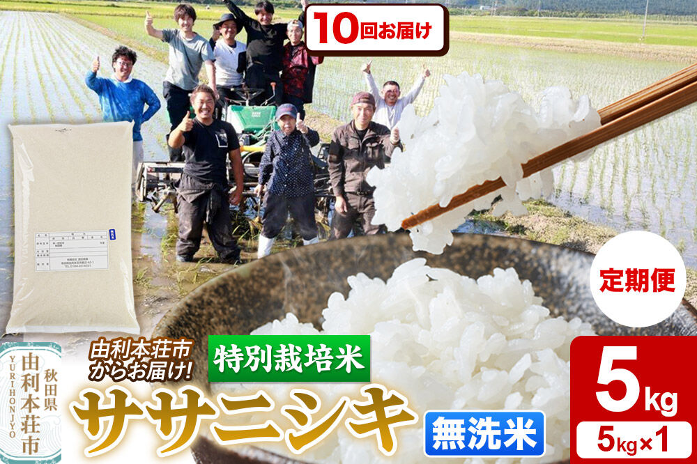 《定期便10ヶ月》令和7年産【無洗米】特別栽培米 ササニシキ 5kg 秋田県産 [ササニシキ 米 お米 白米 精米 無洗米 特別栽培米 ブランド米 食卓 秋田県産 秋田県 由利本荘市]