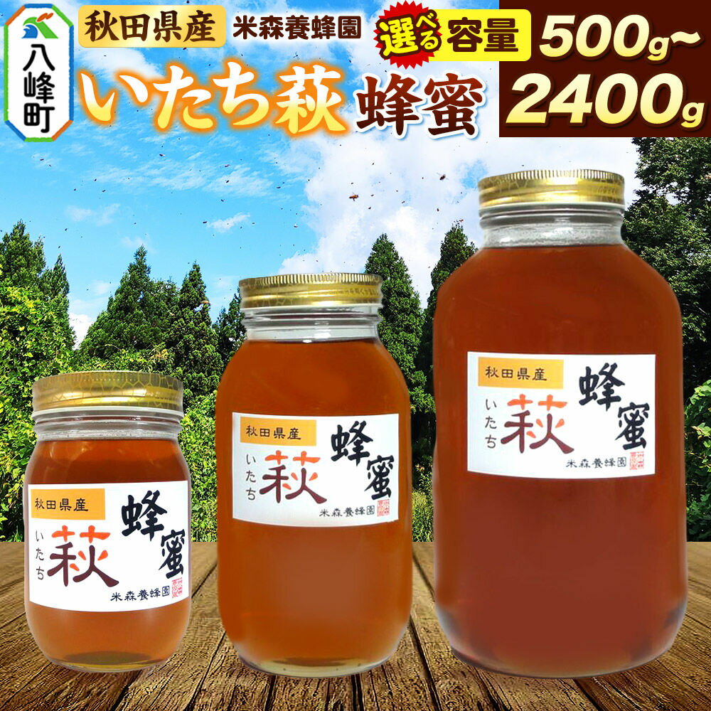 【ふるさと納税】はちみつ いたち萩蜂蜜 国産 選べる容量 500g 1200g 2400g 秋田県産100％ 秋田白神の天然蜂蜜 米森養蜂園