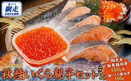 網走産　鮭いくら　親子セット（ミニ）【 ふるさと納税 人気 おすすめ ランキング 鮭 天然 さけ サケ 白鮭 シャケ サイコロ 鮭切身 さけ切身 サケ切身 シャケ切身 切身 お弁当 おかず 惣菜 お手軽 骨なし 骨抜き 先行予約 あっさり 訳あり 海鮮 オホーツク海産 冷凍 北海道 網走市 送料無料 】 ABBI010