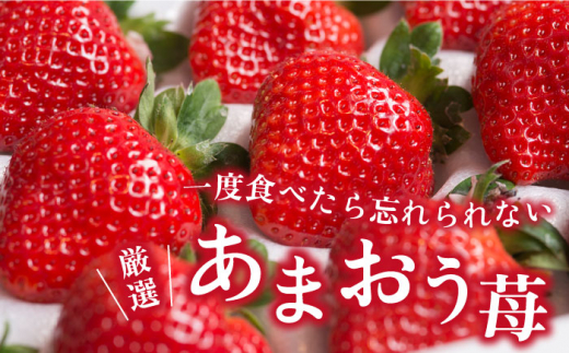 【先行予約】【春】ヨーグルトあまおう＆ヨーグルト梅酒 各720ml×あまおう 約250g×2パック 【2025年2月上旬以降順次発送】 糸島市 / 南国フルーツ株式会社 [AIK019]