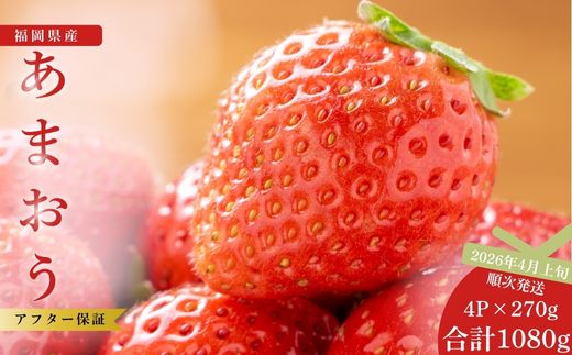 【先行予約】【数量限定】福岡県産あまおう 270g×4パック ※2026年4月上旬順次配送 [TY014-3] ※配送不可：北海道・沖縄・離島【福岡県須恵町】いちご イチゴ 苺 フルーツ 果物 国産 九州 送料無料