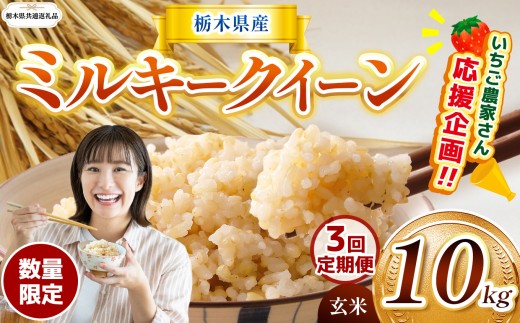 【栃木県共通返礼品】【先行予約】【定期3回】 訳あり 数量 限定 定期便 令和8年度産 ミルキークイーン 約 10kg | とちぎの星 ミルキークイーン お米 kome okome ご飯 米 玄米 白米 ごはん おいしい ふるさと納税 那珂川町 栃木県 送料無料
