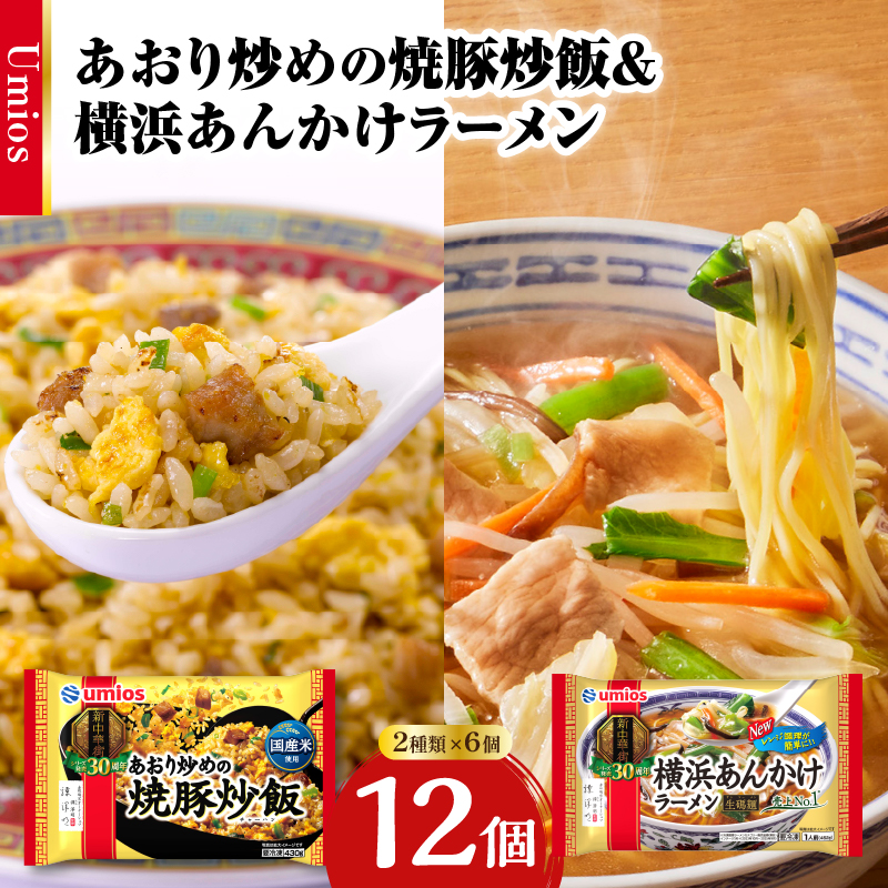 Umios 冷凍食品 あおり炒めの焼豚炒飯＆横浜あんかけラーメン詰合せセット