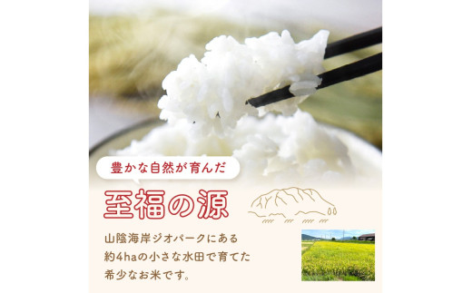 【先行予約】丹後弥栄産コシヒカリ（玄米5kg）コシヒカリ 玄米 おこめ おにぎり 京都産 お米 ふるさと納税 こしひかり