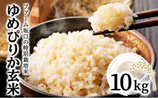 【玄米】《令和8年産》お米 ゆめぴりか玄米 10kg(10kg×1袋)｜米 北海道 岩見沢市 ファーム坂口の特別栽培米 10kg (10kg×1袋)
