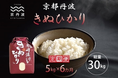 【6回定期便】 京丹波きぬひかり 5kg×6カ月連続 合計30kg 令和7年産  [060MB004R]