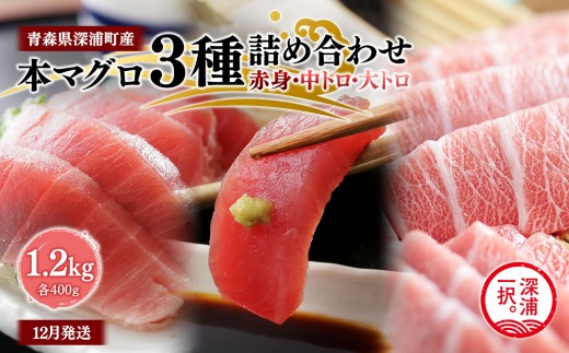 
                  天然本マグロ 3種食べ比べ 1.2kg 各400g 青森県深浦町産 赤身 中トロ 大トロ 冷凍柵 深浦マグロ 刺身 海鮮 鮪 まぐろ【fu-0015-028_12】
                