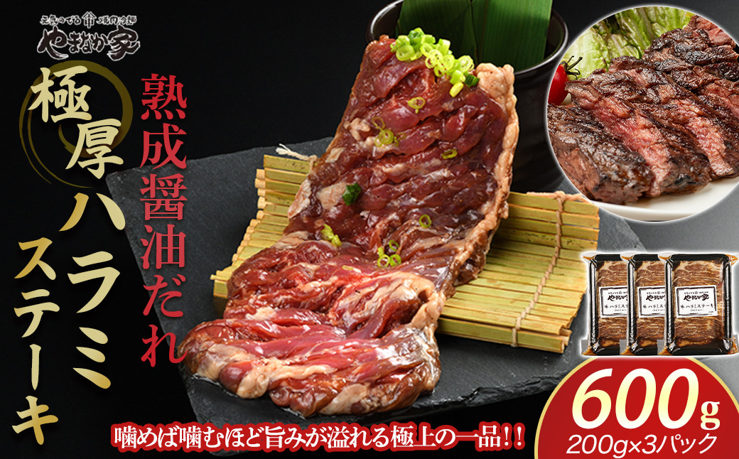 
            プレミアム極厚ハラミステーキ【熟成醤油だれ】600g(K2-026)   牛ハラミ 牛カルビ 豚カルビ 牛ホルモン たれ タレ 詰合せ 岩手県 北上市 D0502 （KYフーズ）牛肉 BBQ 焼肉セット
          