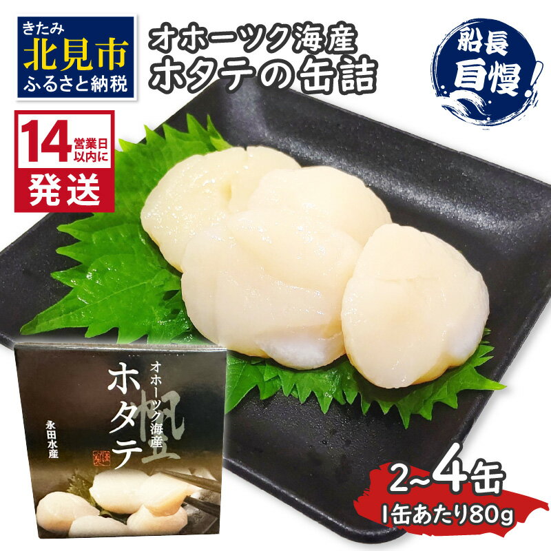 【ふるさと納税】《14営業日以内に発送》オホーツク海産 ホタテの缶詰 80g 2缶 4缶