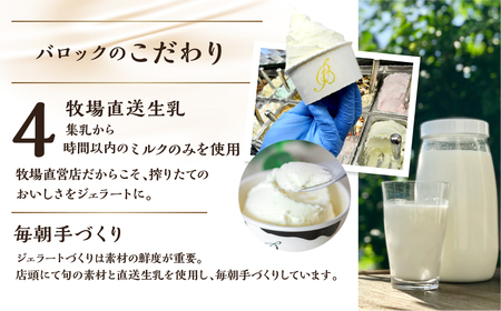 行列店のジェラート 人気のフレーバーセット 12個 ジェラート