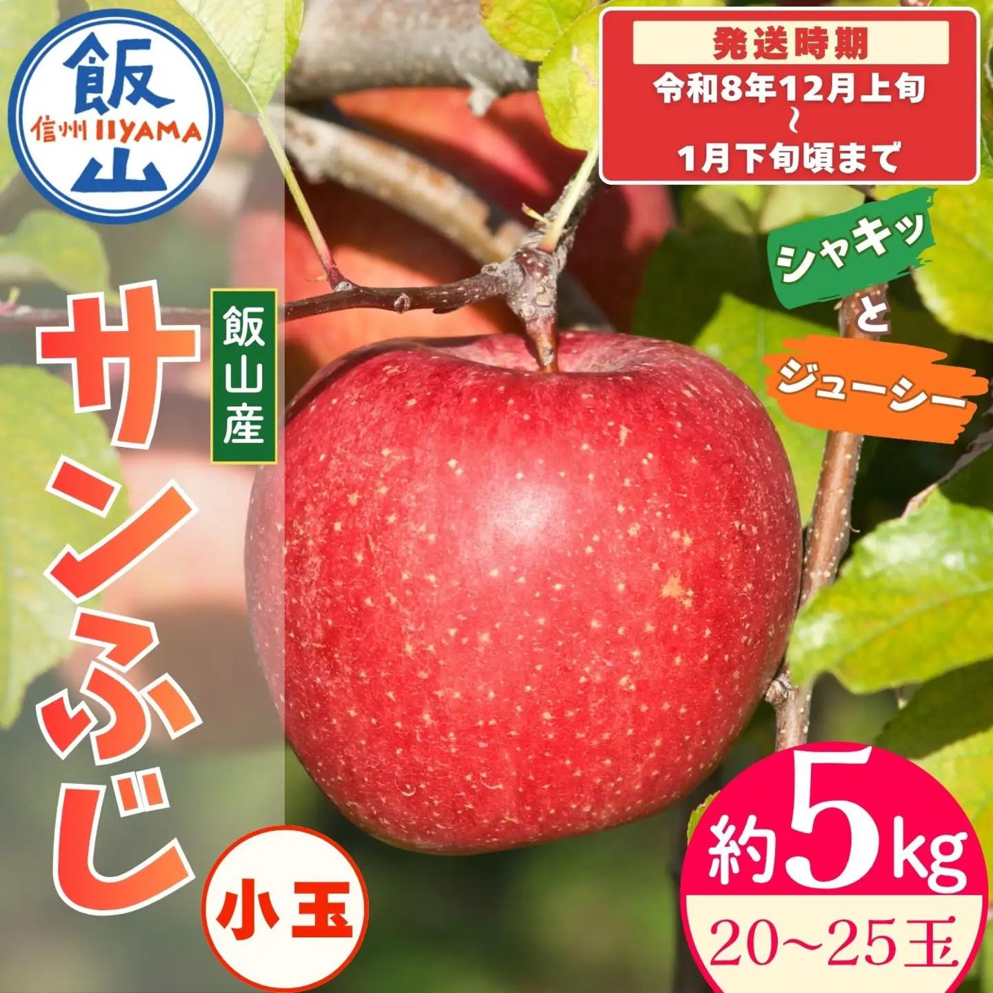 【先行予約】サンふじ 小玉【約5kg(20〜25玉)】りんご