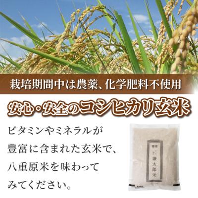 ふるさと納税 東御市 【太陽と大地】令和7年産「八重原産コシヒカリ玄米「極」(栽培期間中農薬化学肥料不使用)4kg」 |  | 01