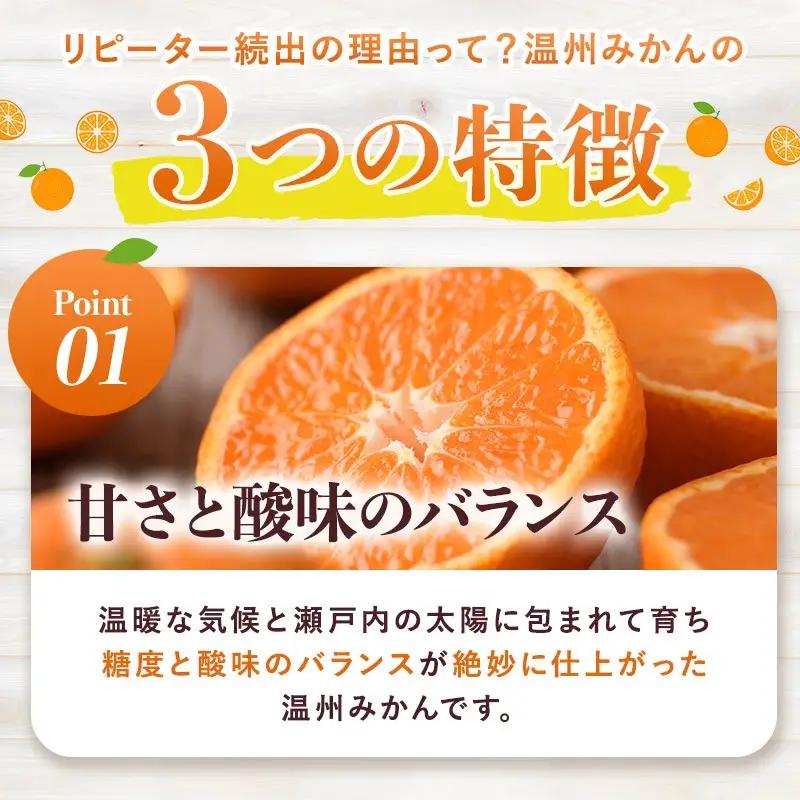 【先行予約】温州みかん 10kg 愛媛県今治市 みかん
