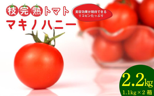 トマト 中玉 2.2kg 以上 マキノハニー 枝完熟 トマト トマトップ 高 リコピン うまみ 甘い 新鮮 野菜 産地直送 やさい ビタミン 静岡県 牧之原市 まるごと 甘味 うまみ 甘い 新鮮 野菜 産地直送 やさい ビタミン おすすめ 人気 送料無料 冷凍トマト 果物 フルーツ くだもの やさい 日常 普段使い サラダ 産地直送 栄養   夏 夏バテ 予防 熱中症対策 熱中症予防